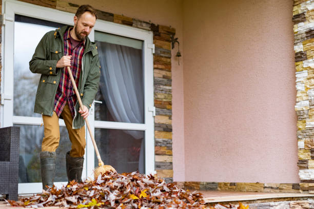 Best Dumpster Rental Services  in Highwood, IL